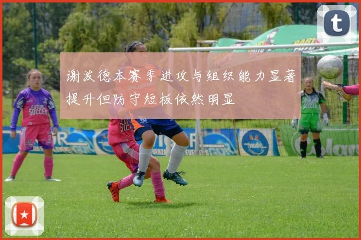 谢泼德本赛季进攻与组织能力显著提升但防守短板依然明显