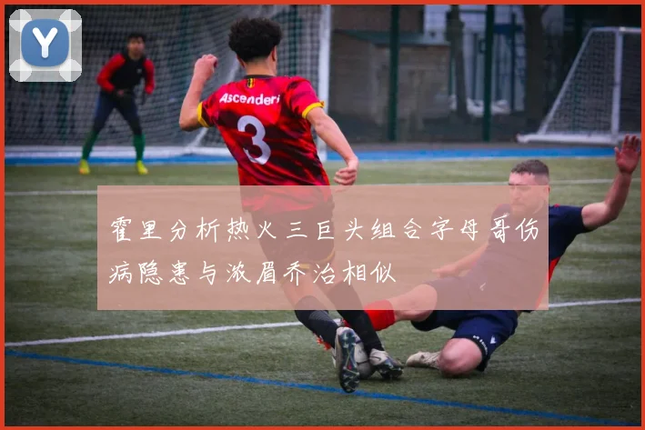 霍里分析热火三巨头组合字母哥伤病隐患与浓眉乔治相似